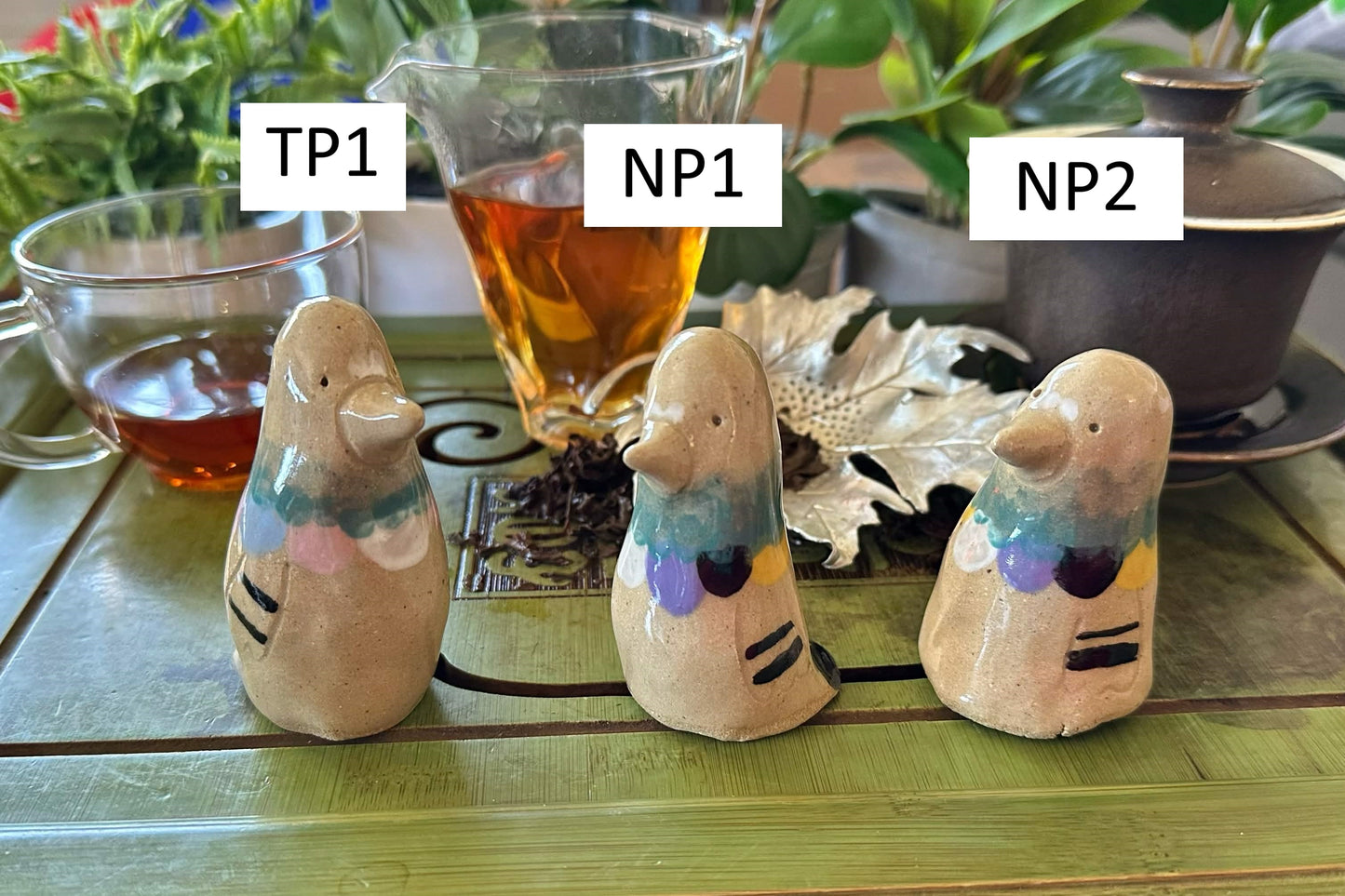 Three pigeon tea pets with colored ruffs one with trans flag coloring labeled TP1, two with nonbinary flag coloring labeled NP1 and NP2
