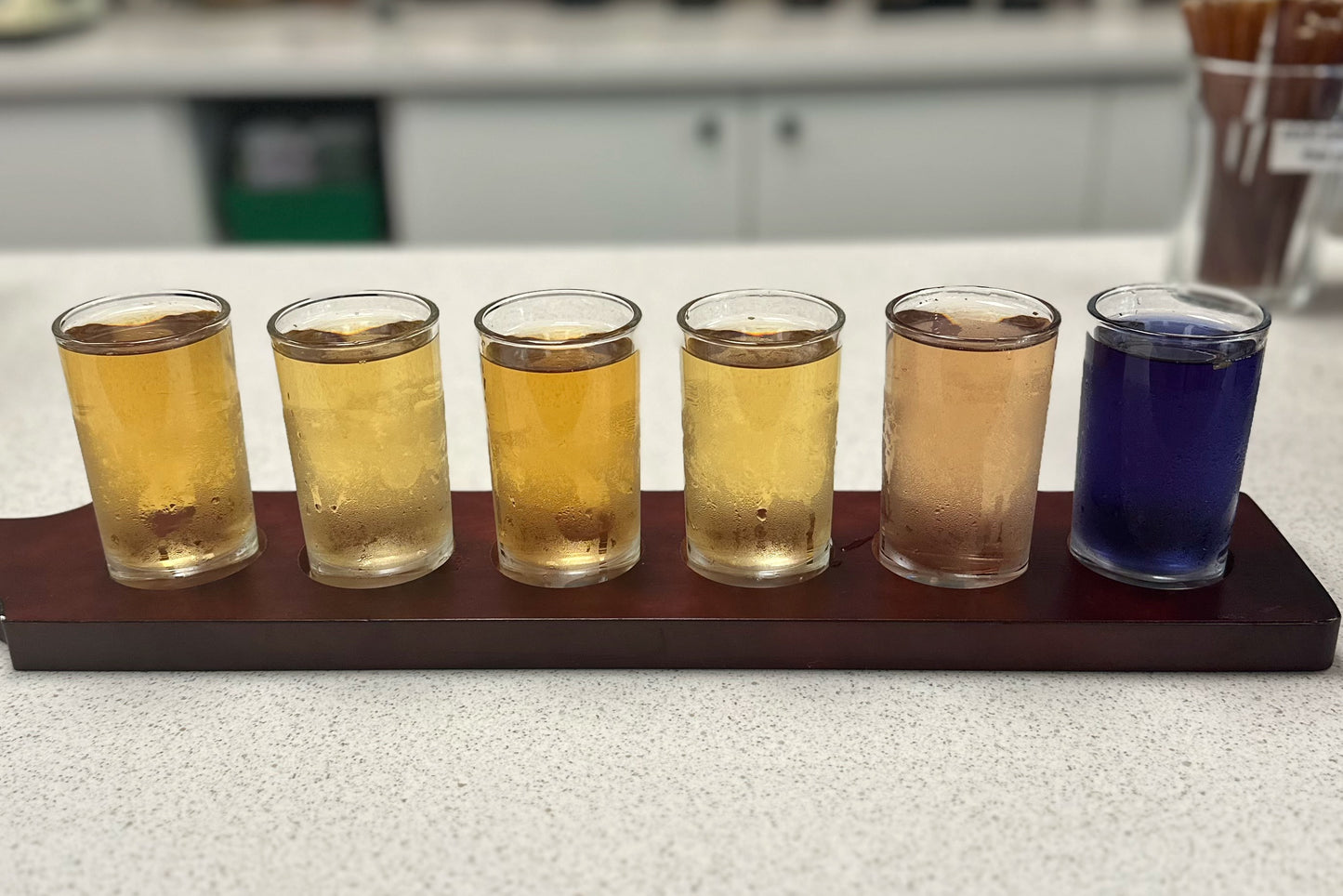 Pirate Cove Cold Brew Flight - Homebrew Kit!