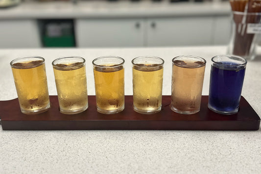 Pirate Cove Cold Brew Flight - Homebrew Kit!