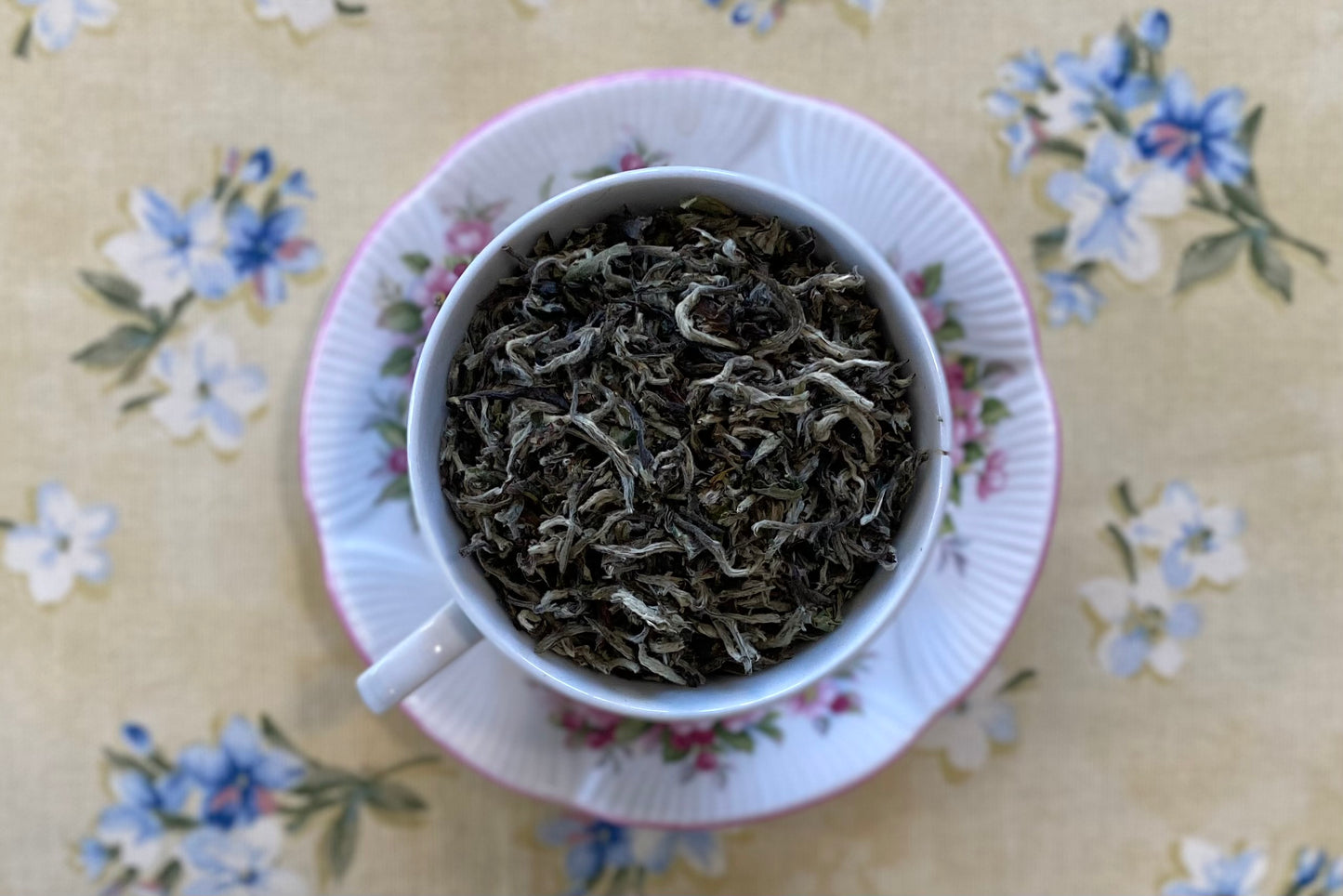 Teacup full of silvery white tea leaves