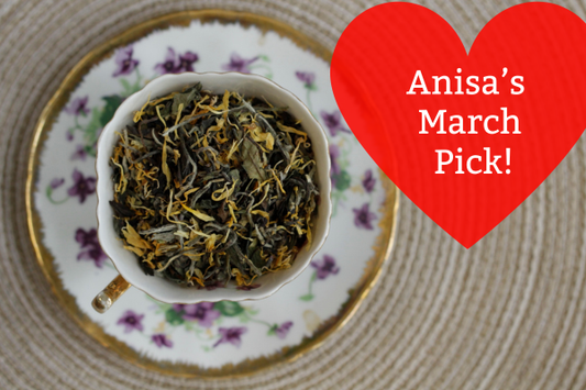 Anisa's March Pick: Paladin's Pride