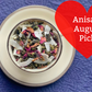 Anisa's August Pick: Swan Prince