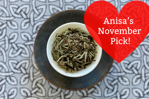 Anisa's November Pick: Winter Huntress