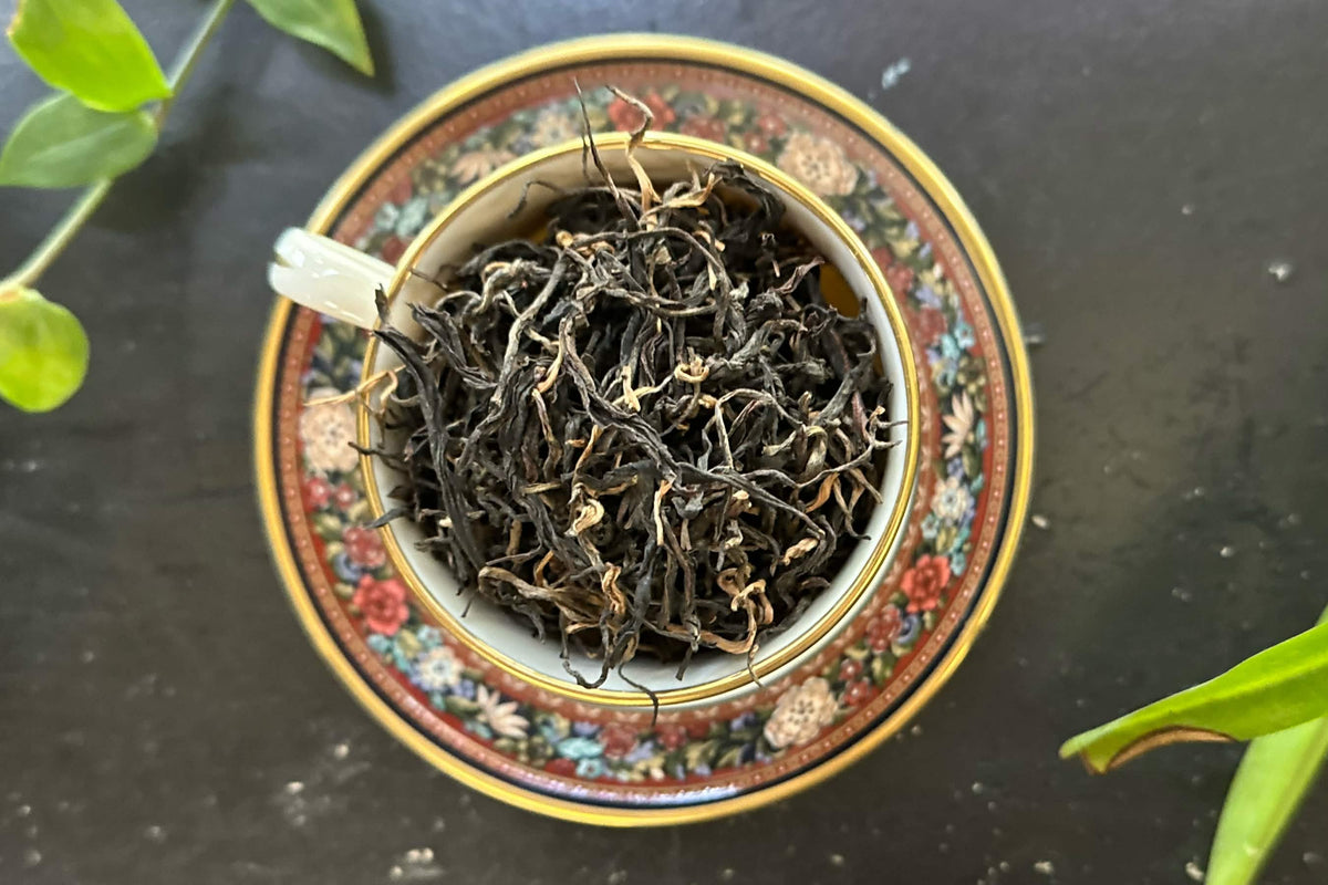 A teacup full of wiry black tea leaves with gold tips