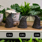Three crow tea pets on a gongfu tray labeled CR4-CR6. All three are short and have matte black bodies and glittery glossy black beaks.