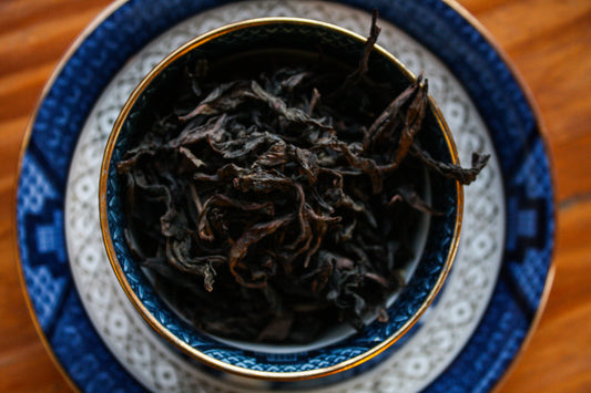 Teacup full of twisted dark roasted oolong leaf